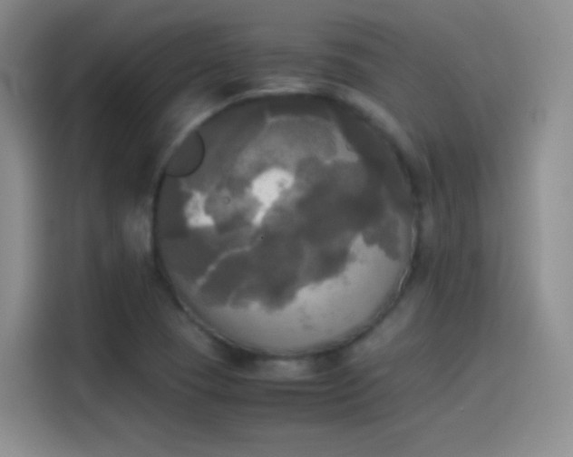 X0000114111409200910131333