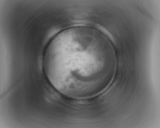 X0000114111411200910131333
