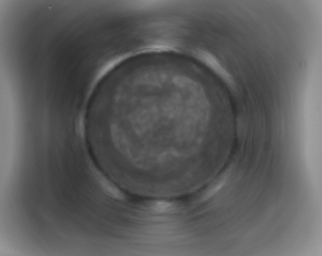 X0000114111412200910131333