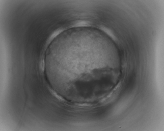 X0000114111413200910131333