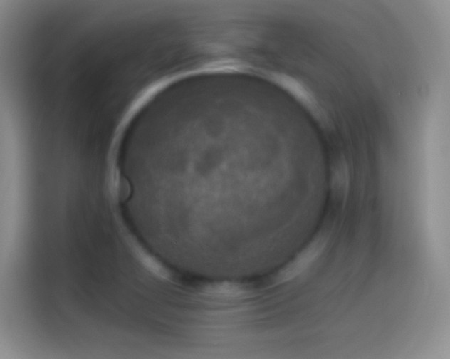 X0000114111414200910131333