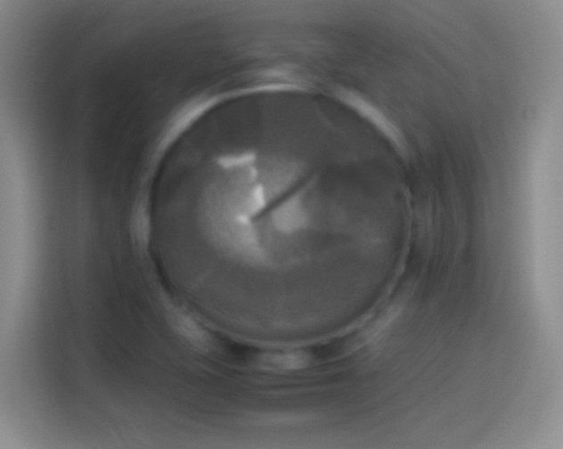 X0000114111415200910131333