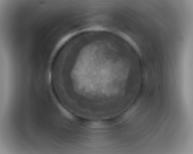 X0000114111416200910131333