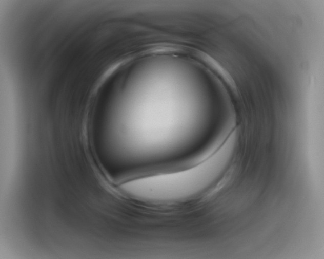 X0000114111417200910131333