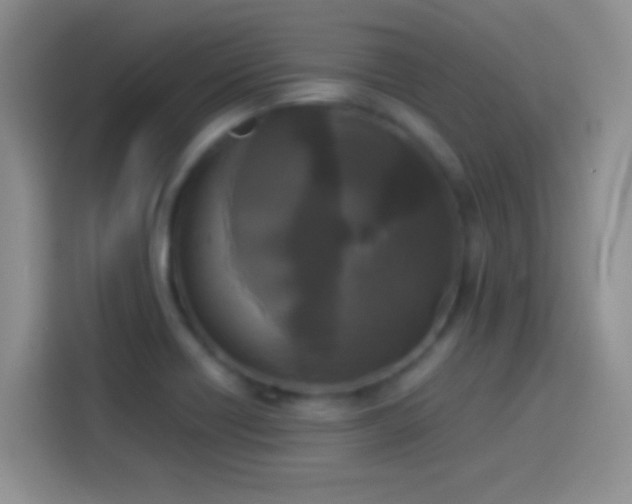 X0000114111418200910131333