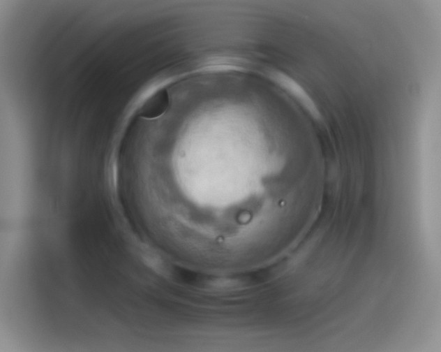 X0000114111419200910131333