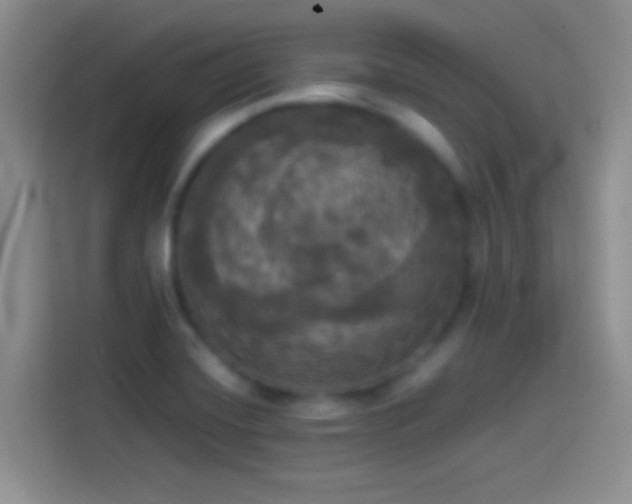 X0000114111420200910131333