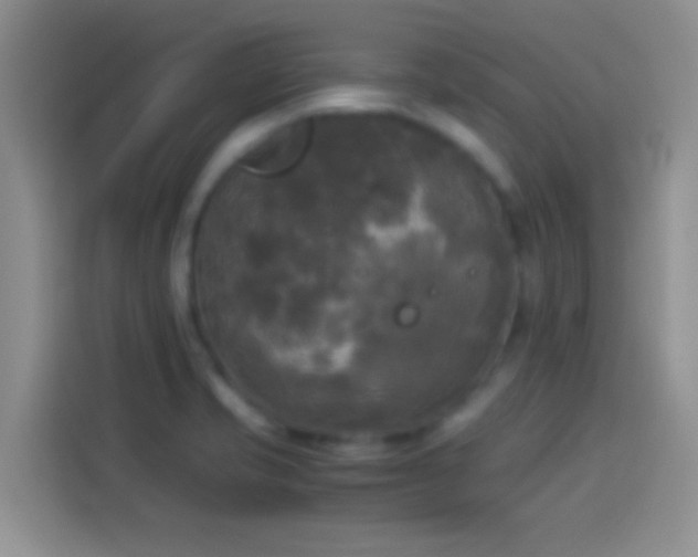 X0000114111421200910131333