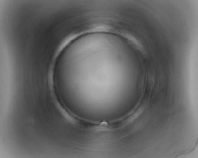 X0000114111422200910131333