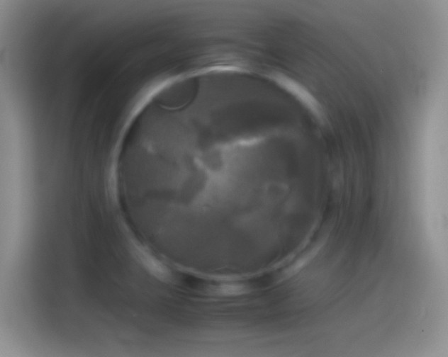 X0000114111423200910131333
