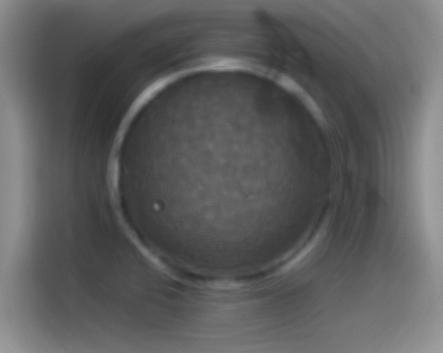 X0000114111424200910131333