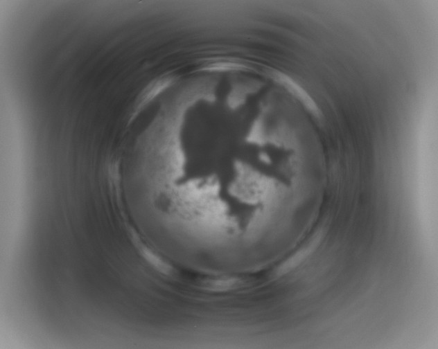 X0000114111425200910131333