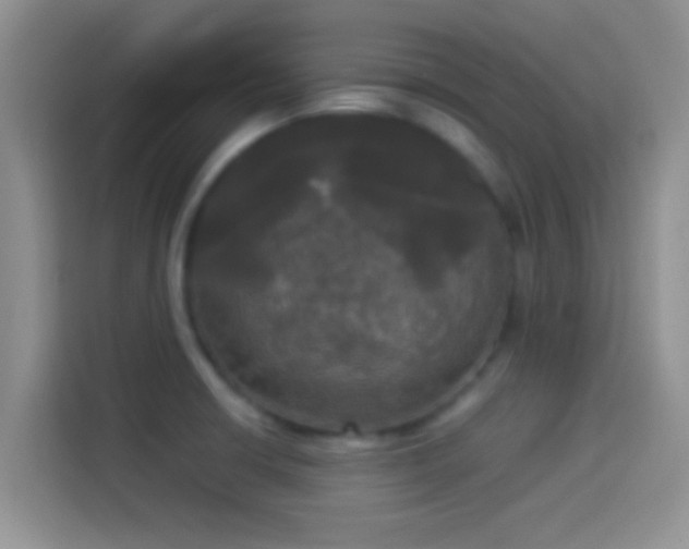 X0000114111426200910131333