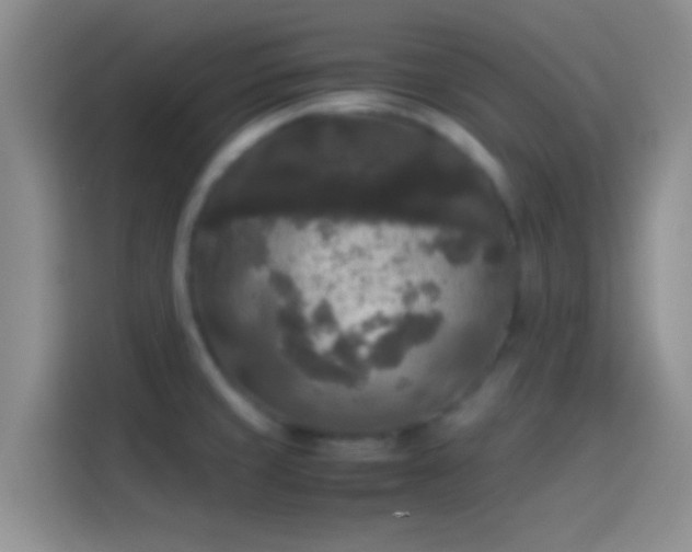 X0000114111429200910131333
