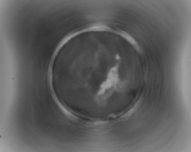 X0000114111430200910131333
