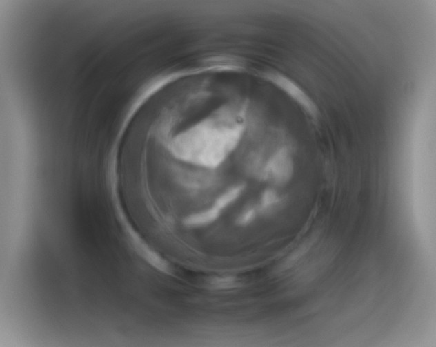 X0000114111431200910131333