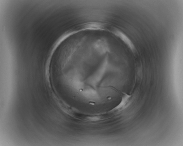 X0000114111435200910131333