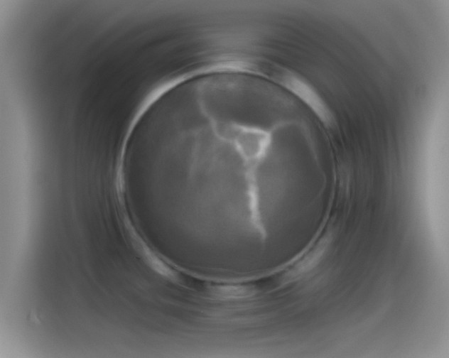 X0000114111436200910131333
