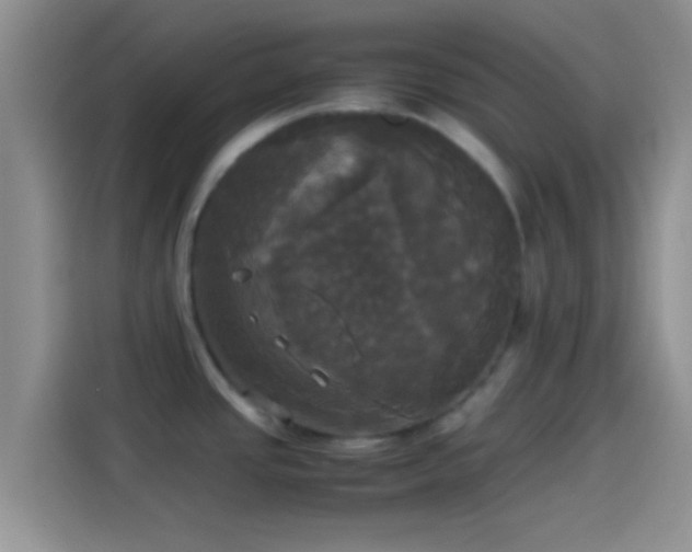 X0000114111437200910131333