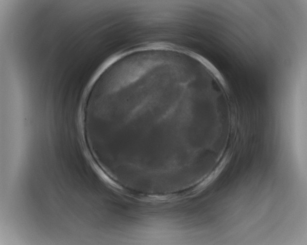 X0000114111438200910131333