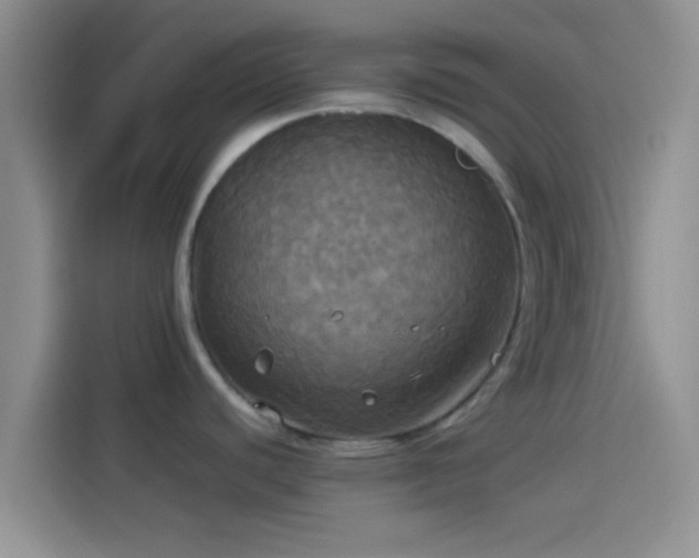 X0000114111440200910131333