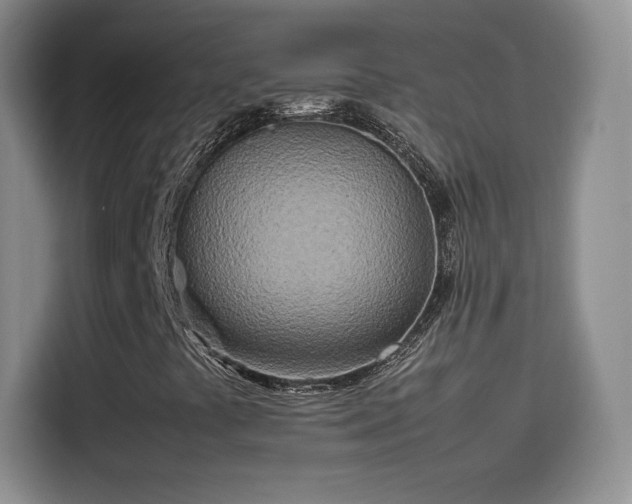 X0000114111441200910131333