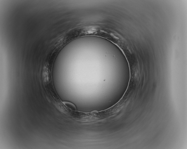 X0000114111442200910131333