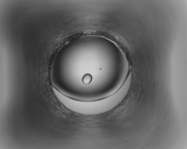 X0000114111445200910131333