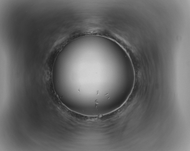 X0000114111447200910131333