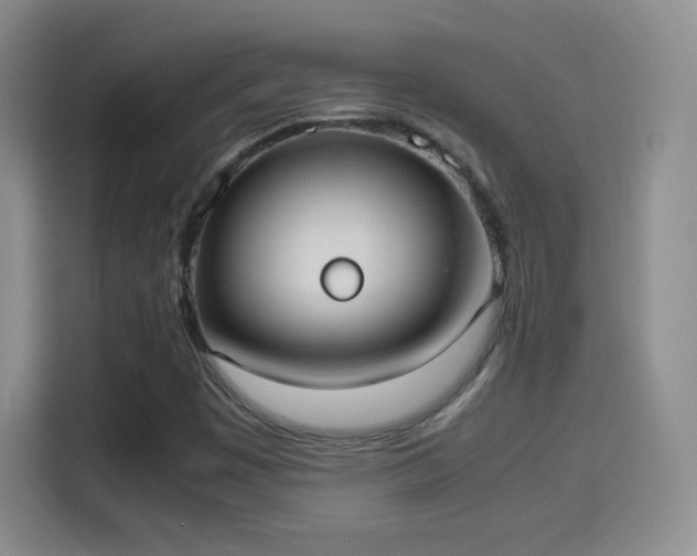 X0000114111449200910131333