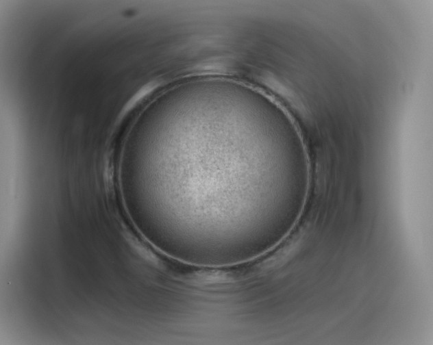 X0000114111450200910131333