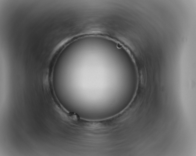 X0000114111452200910131333