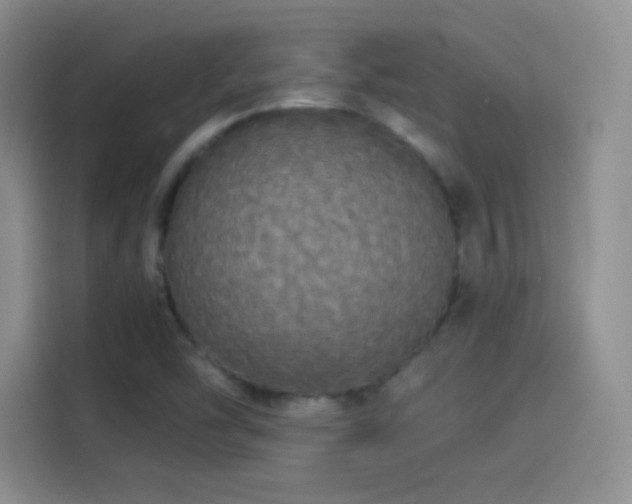 X0000114111454200910131333