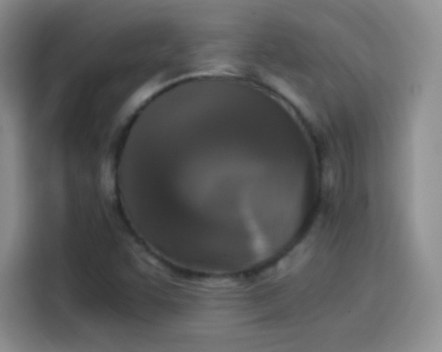 X0000114111455200910131333
