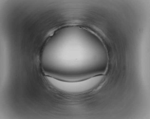 X0000114111457200910131333