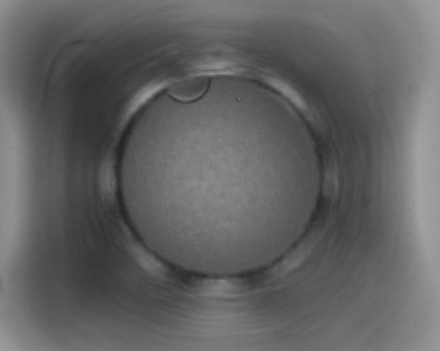 X0000114111458200910131333