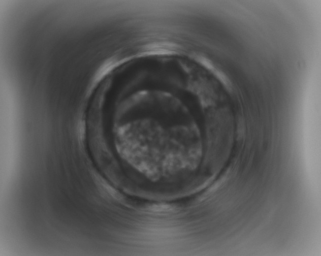X0000114111459200910131333