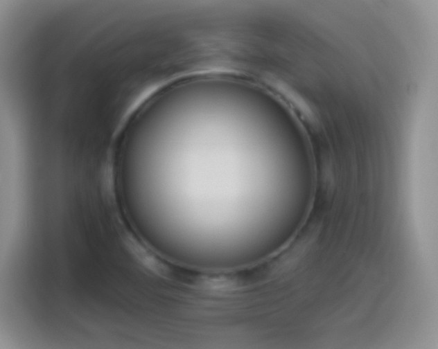 X0000114111460200910131333