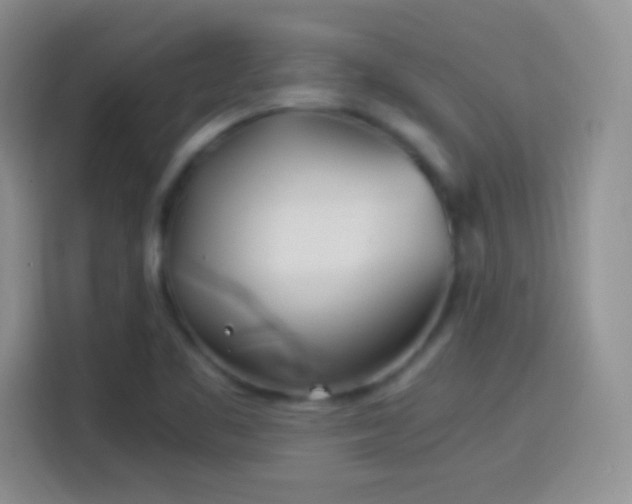 X0000114111461200910131333
