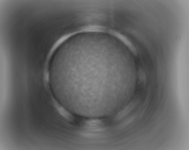 X0000114111462200910131333