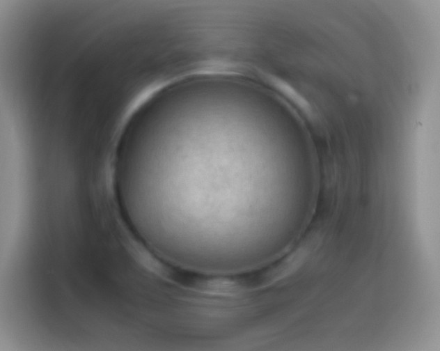 X0000114111463200910131333