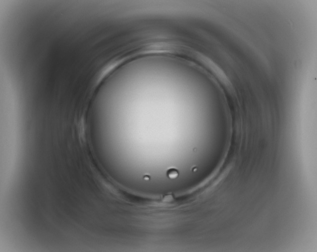 X0000114111465200910131333