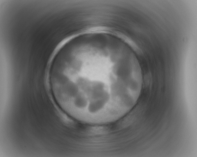 X0000114111470200910131332