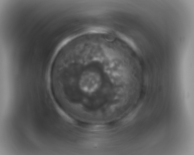 X0000114111471200910131332