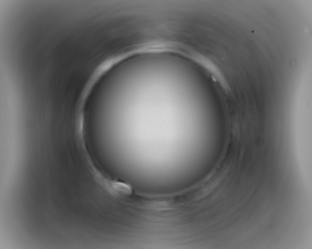 X0000114111472200910131332