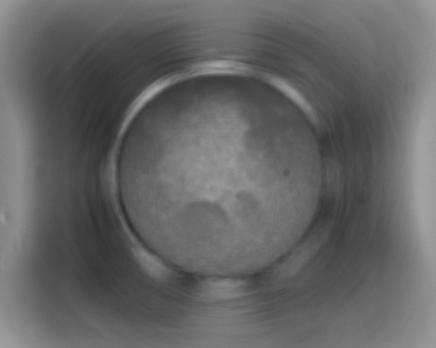 X0000114111474200910131332