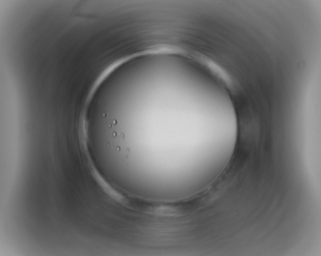 X0000114111476200910131332