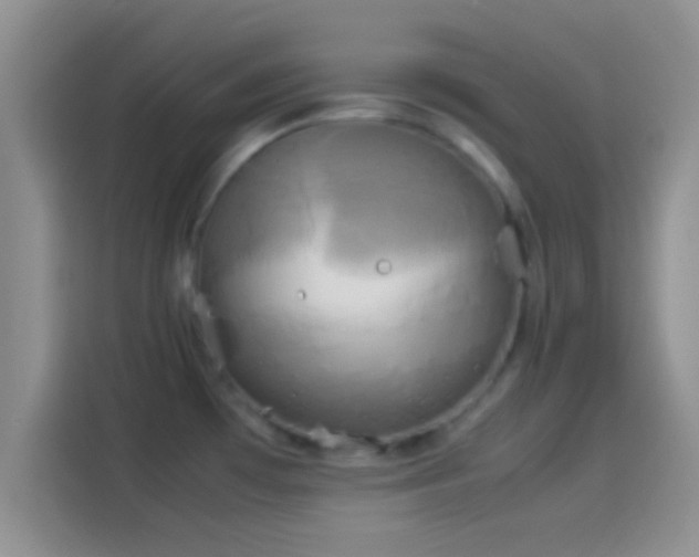 X0000114111481200910131332