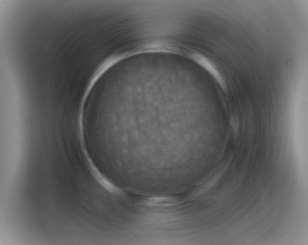 X0000114111482200910131332