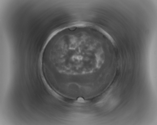 X0000114111483200910131332